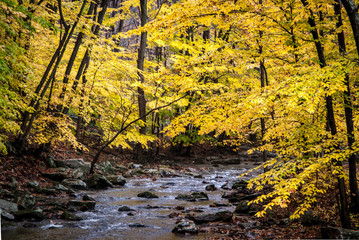 USA, New Jersey, Hunterdon, Rockaway Stream on Rockaway Road (between Mountainville and Oldwick).