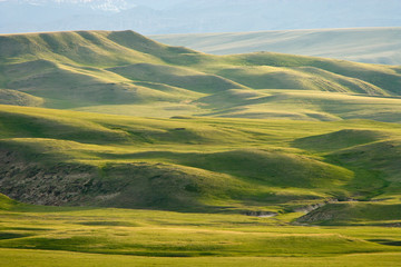 USA, Montana, Rocky Mountain Front. Green hills east of Great Falls.  - obrazy, fototapety, plakaty