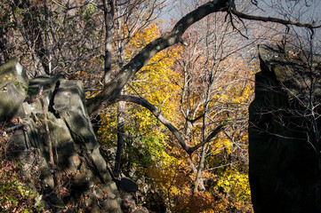 USA, New Jersey, Hudson River Basin, Alpine Lookout on the Hudson River Palisades in the fall.