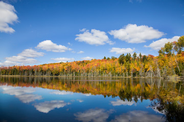 Obraz na płótnie Canvas Pete's Lake in fall color Schoolcraft County, Upper Peninsula, Michigan