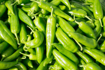 Santa Fe, New Mexico. Rail yard District, farmers market selling local chilies.