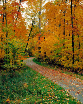 USA, Minnesota, Itasca State Park,Bike Path