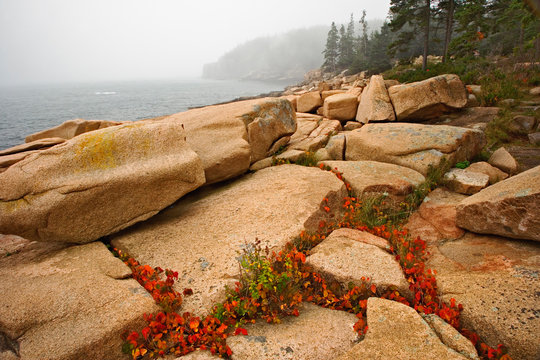 Granite boulders and distant Otter Cliff, among fog along coastline of Acadia National Park, Maine