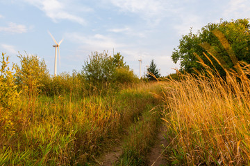 Fototapeta premium A trail in a field next to the Mars Hill wind farm in Mars Hill, Maine. The International Appalachian Trail traverses the ridge on Mars Hill.