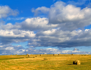 USA, Nebraska, Morrill County. Golden hay rolls await pick-up, under the enormous, brooding sky in Morrill County, Nebraska.