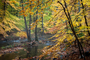USA, New Jersey, Hunterdon, Rockaway Stream on Rockaway Road (between Mountainville and Oldwick).