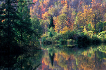 North America, United States, New England. Reflection of fall foliage.