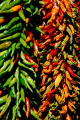 USA, New Mexico, Santa Fe. Chile peppers.