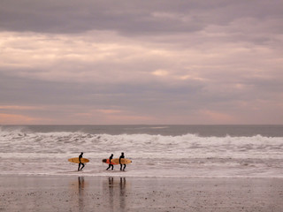 USA, Oregon, Cape Kiwanda State Natural Area. Three surfers with boards walk along shoreline. 