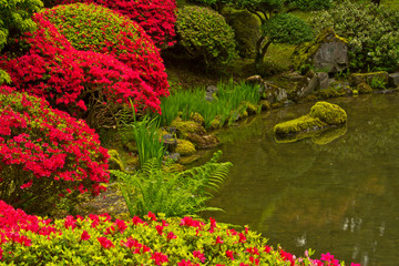 Fototapeta na wymiar Portland Japanese Garden, spring, Portland, Oregon, USA. (PR)