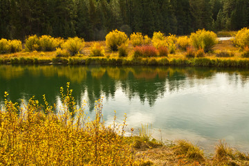 Fototapeta na wymiar Deschutes River, Deschutes National Forest, Oregon, USA