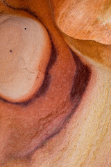 Usa, Nevada. Colorful abstract lines in sandstone cliff at Valley of Fire State Park, Nevada