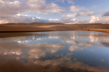 Obraz premium USA, Oregon, Siuslaw National Forest, Umpqua Dunes. Contrast of a lake next to sand dunes. 