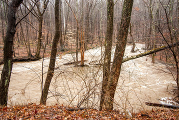 Fototapeta na wymiar USA, New Jersey, Oldwick, Rockaway Creek, Northeaster storm flooding.