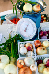 Obraz premium Onions being sold at a farmers market, Santa Fe, New Mexico, USA.