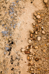 Window Rock, Arizona, USA. Capital of the Navajo Nation. Lichen on rocks.