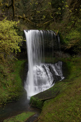 Obraz premium Usa, Oregon. Middle North Falls during early spring, Silver Falls State Park