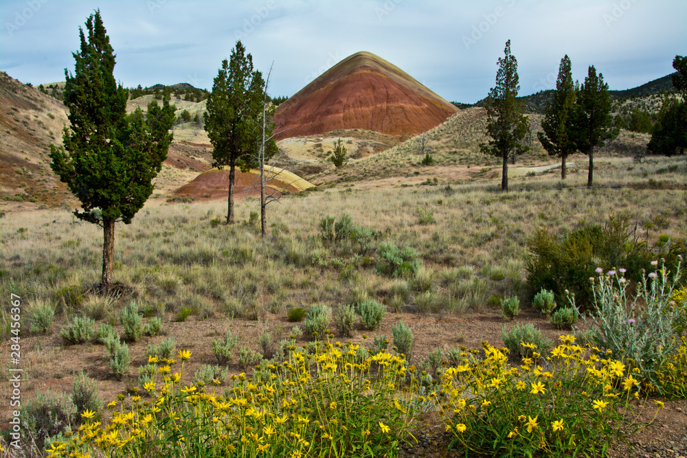 Poster Red Hill, Painted Hills, Mitchell, Oregon, USA