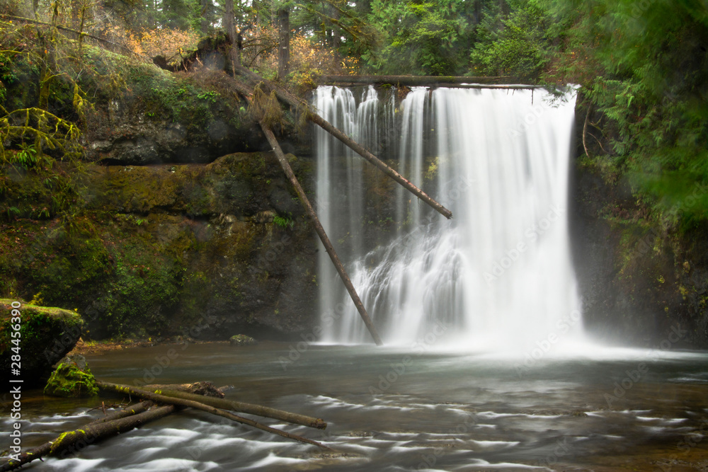 Wall mural North Falls, autumn, North Falls Silver Creek, Silver Falls State Park, Oregon, USA