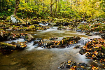 Naklejka na ściany i meble USA, North Carolina, Great Smoky Mountains National Park. Big Creek