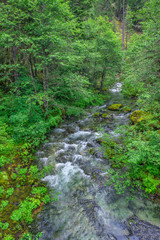 Fototapeta premium USA, Oregon, Willamette National Forest, Opal Creek Scenic Recreation Area, Battle Ax Creek with surrounding lush forest.