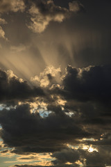 Obraz premium USA, Oregon, Keizer, Schreiner's Iris Garden, clouds