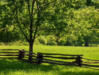 USA, Tennessee, Great Smoky Mountains National Park. Old wooden fence in Cades Cove