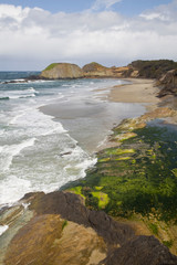 OR, Oregon Coast, Seal Rock State Park, shoreline view