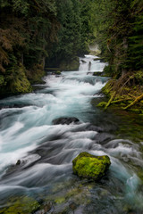 Usa, Oregon. Spring run-off with waterfalls and moss-covered bolder, McKenzie River, Willamette National Forest