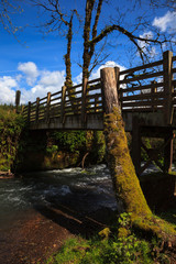 USA, Oregon, Larwood Wayside, foot bridge.
