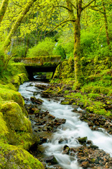 Fototapeta na wymiar USA, Oregon, Wahkeena Falls. Located along I-84, the Columbia River Gorge Scenic Area is famous for its waterfalls.