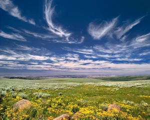 Foto op Canvas USA, Oregon, Steens Mountain. Spring burgeons beneath a sky rippled by fairy tale clouds, near Steens Mountain, Oregon. © Ric Ergenbright/Danita Delimont