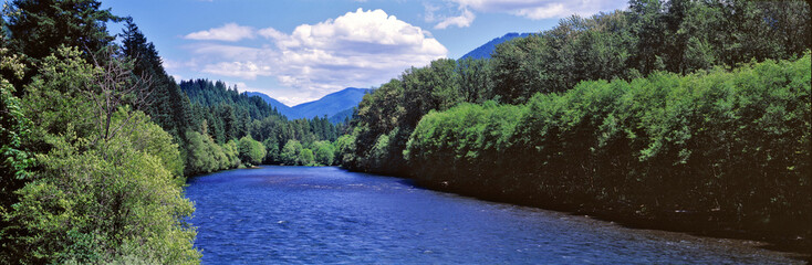 USA, Oregon, McKenzie River. The McKenzie River in the Cascade Range is one of Oregon's most...