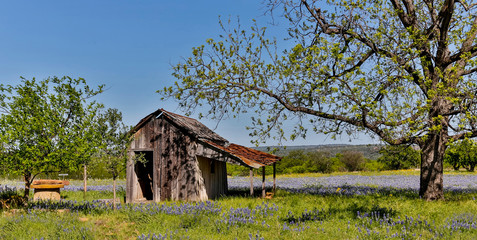 Old abandoned building, Cherokee, Texas