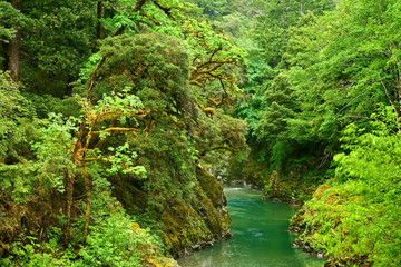 USA, Oregon, Elk River - 