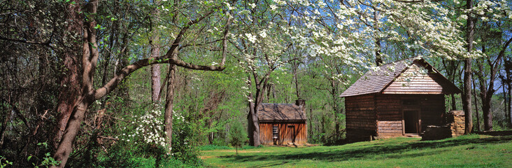 USA, South Carolina, Traveler's Rest. Dogwood blossoms are an indication of spring at Traveler's Rest in South Carolina.