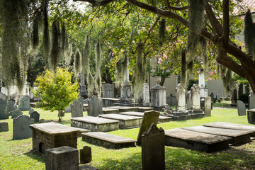 Fototapeta premium Stary cmentarz kościelny. Charleston, Karolina Południowa, USA