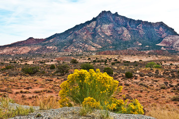 USA, Utah, Henry Mountains from SR 276, Mount Holmes