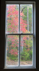 Naklejka premium Tennessee, Great Smoky Mountains National Park, Cades Cove, window view inside Missionary Baptist Church