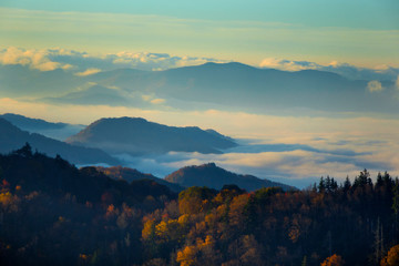 Obraz na płótnie Canvas Mist in the valleys at sunrise at Clingmans Dome, Great Smoky Mountains National Park, Tennessee