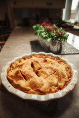 USA, Oregon, Keizer, Apple Pie cooling in preparation for Thanksgiving dinner.