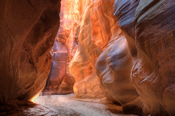 Utah, Paria Canyon-Vermillion Cliffs Wilderness, Buckskin Gulch, 21 mile long slot canyon, Section...