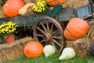 USA, Tennessee, Townsend. Wooden wagon and Halloween display. Credit as: Jim Zuckerman / Jaynes...