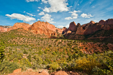 USA, Utah, Kolb Canyon, Zion National Park