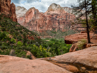 USA, Zion National Park. View from Emerald Pools Trail