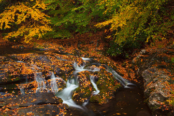 USA, Tennessee, Great Smoky Mountain National Park, A small cascade with leaf covered rocks.