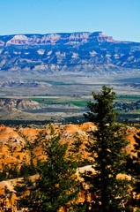 USA, Utah, Bryce, Bryce Canyon National Park Powell Point from Bryce Point