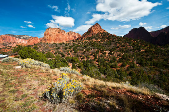 USA, Utah, Kolb Canyon, Zion National Park