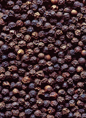 USA, Oregon, Bend. A close-up of pepper corns shows the variety of colors they provide.