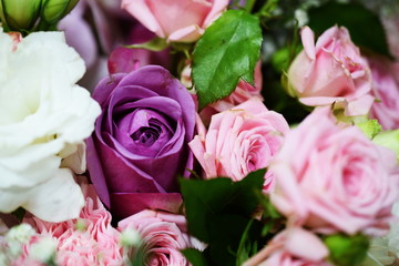 Close up beautiful Pink  rose flower bouquet